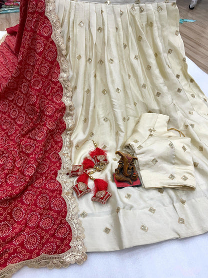 Stunnning Designer embroidered Lehenga Choli Set