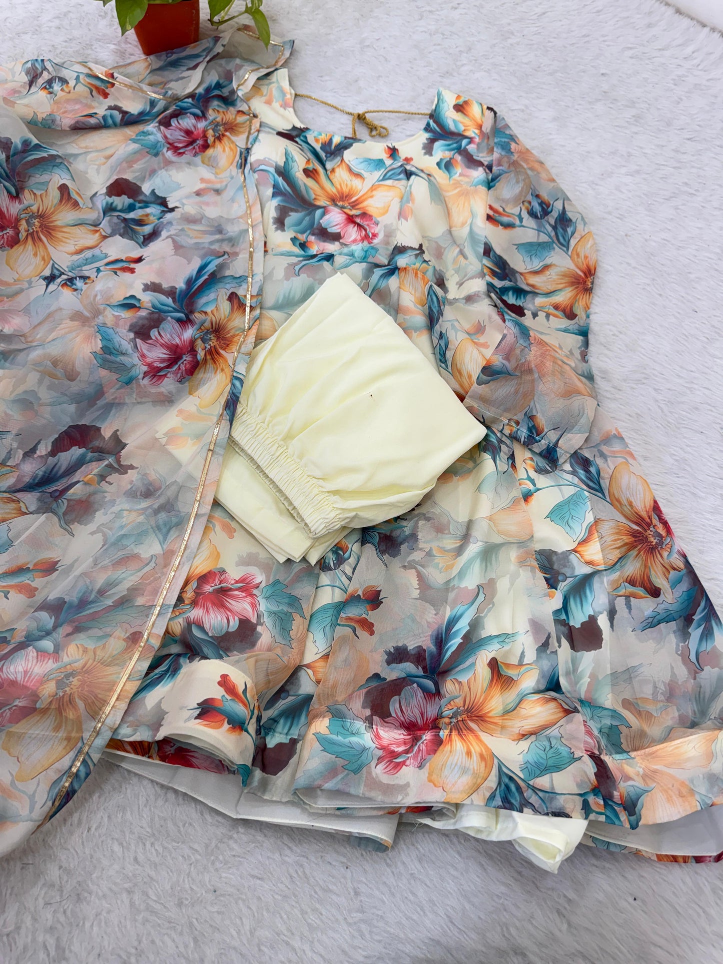 Gorgeous Organza Taby Silk Gown Set